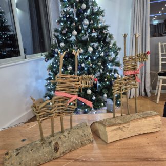 Willow Weaving Workshop with Nature Makers - 5th December 2025