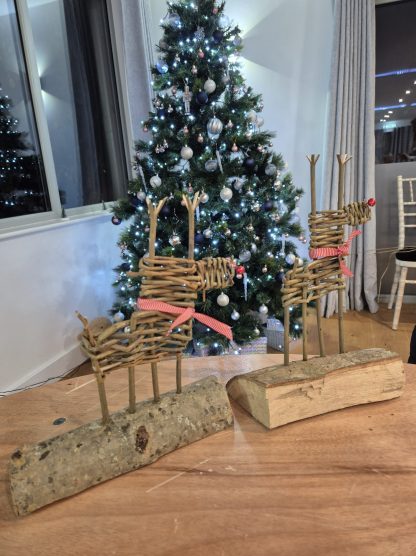Willow Weaving Workshop with Nature Makers - 5th December 2025
