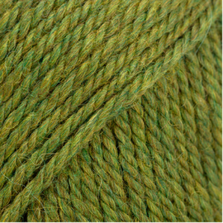 7238 Olive